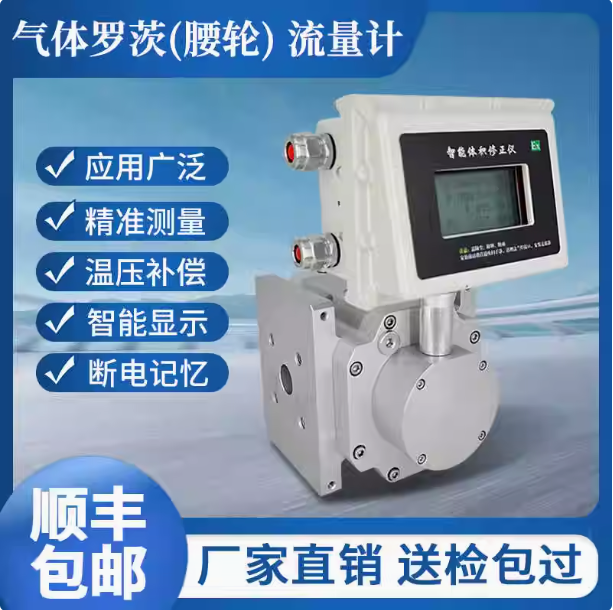 LLQ-25氣體羅茨腰輪流量計...